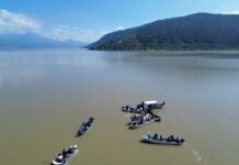 Compesca libera 30 mil crías de pez blanco y acúmara en el lago de Pátzcuaro