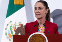 Sheinbaum atribuye “gran mayoría” de desapariciones en México al crimen organizado