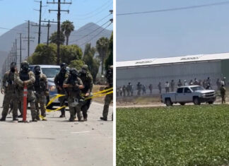 Trump enfrenta múltiples demandas millonarias por redadas migratorias