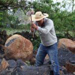 WhatsApp Image 2025-10-03 at 11.00.07 AM (1)