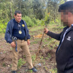 unnamed – 2025-10-29T101742.852