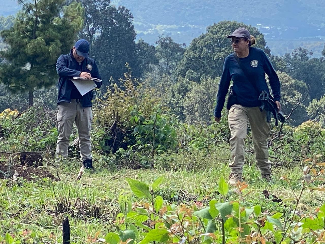 unnamed - 2025-10-29T101745.314