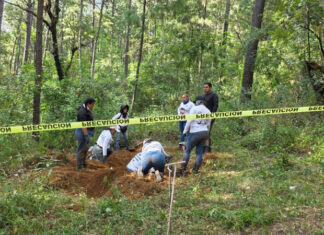 Hallan cuatro cuerpos en predio de Carlos Bautista Tafolla; el diputado agradece a madres buscadoras