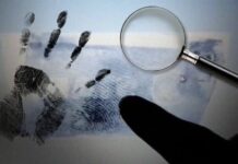 Solicita FGE apoyo ciudadano para identificar a hombre localizado sin vida en Morelia