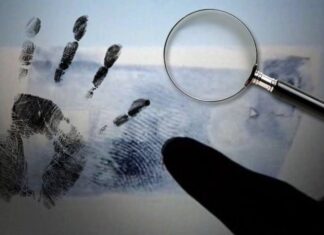 Solicita FGE apoyo ciudadano para identificar a hombre localizado sin vida en Morelia