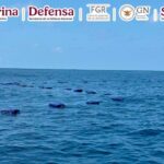 576620807_1277179127772713_8150812041786485114_n