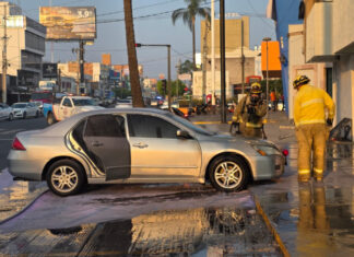 Auto estacionado se incendia en la colonia Jardinadas