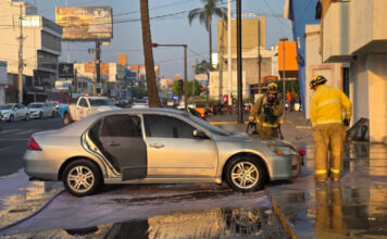 Auto estacionado se incendia en la colonia Jardinadas
