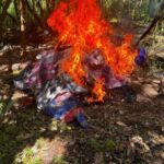 Imagen de WhatsApp 2025-10-31 a las 19.34.42_6d29b941