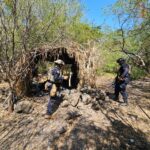 Imagen de WhatsApp 2025-11-08 a las 08.35.34_0ed7d8e5