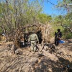 Imagen de WhatsApp 2025-11-08 a las 08.35.35_021d06a7