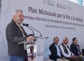Garantizan precios justos para la lenteja michoacana; Federación y Estado comprarán grano directamente a productores