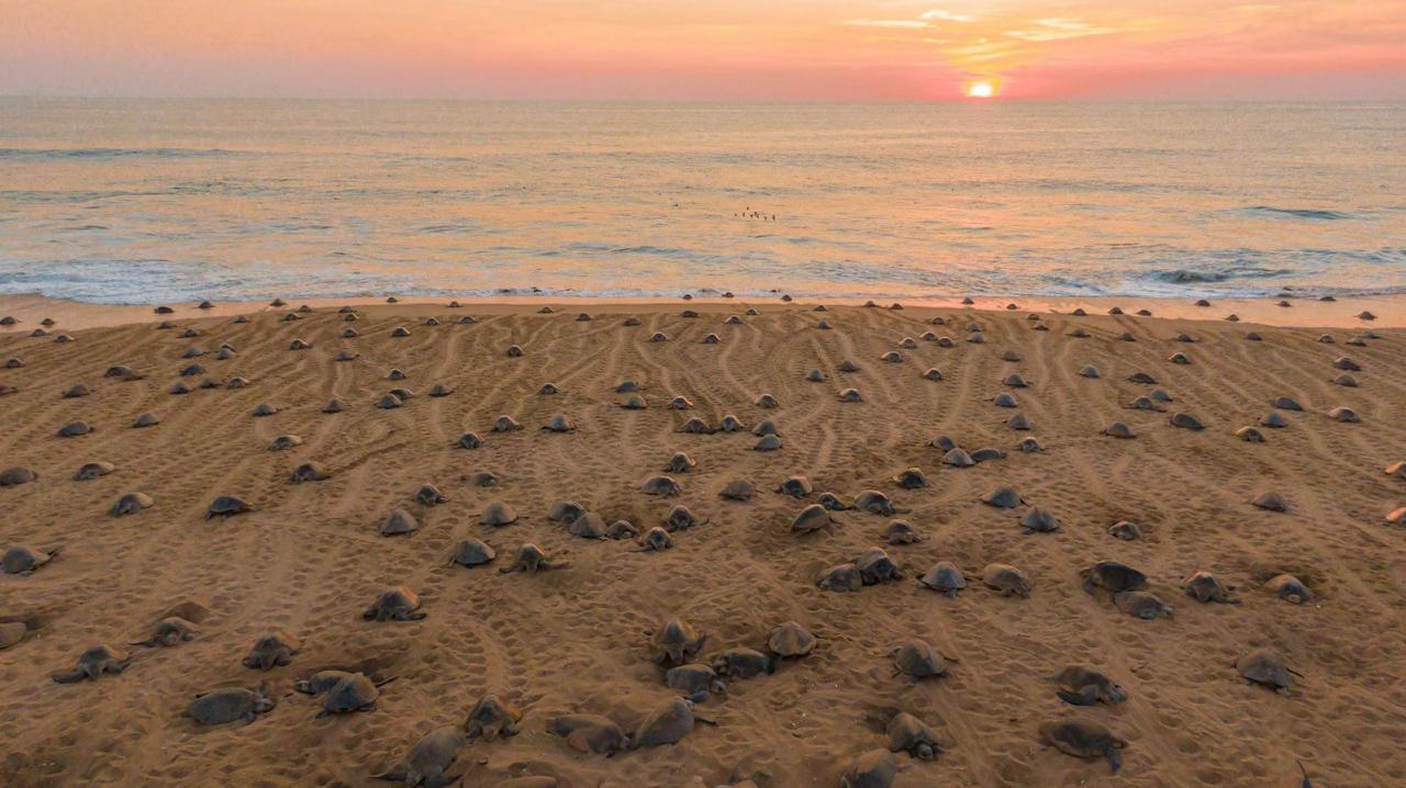 079b51d5-8eae-4ed2-90c3-97c039b5a9da