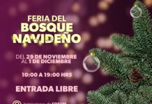 ¡Llega la Feria del Bosque Navideño 2025! Más de 100 productos locales te esperan