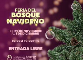 ¡Llega la Feria del Bosque Navideño 2025! Más de 100 productos locales te esperan