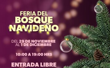 ¡Llega la Feria del Bosque Navideño 2025! Más de 100 productos locales te esperan