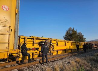 Descarrila tren en la tenencia de Yurécuaro, en Maravatío; solo daños materiales