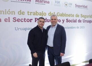 Disminución del 53% en homicidio doloso muestra efectividad del Plan Michoacán