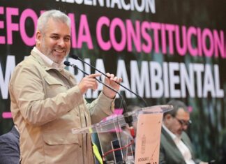 Bedolla presenta iniciativa de reforma ambiental; Guardián Forestal será constitucional