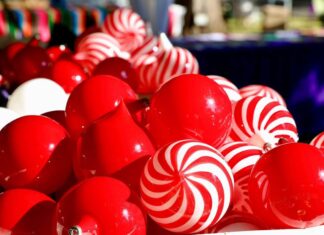 Feria del Bosque Navideño 2025