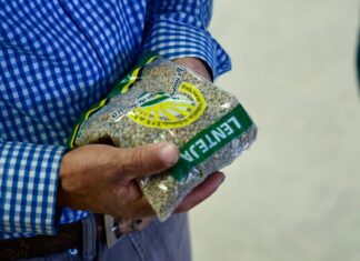 Lenteja michoacana se venderá en 25 mil tiendas del Bienestar en todo el país: Sader