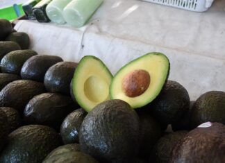 Michoacán avanza hacia la Indicación Geográfica del Aguacate para 2026: Sedeco