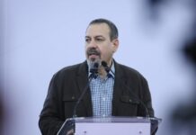 Libre de deforestación el 90% del aguacate de exportación: Secma