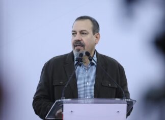 Libre de deforestación el 90% del aguacate de exportación: Secma