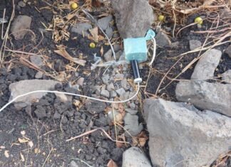 SSP y Defensa desactivan 4 explosivos improvisados en Buenavista