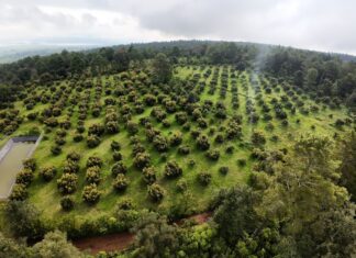 Así funcionará Guardián del Agua para cuidar el recurso natural en Michoacán: Secma