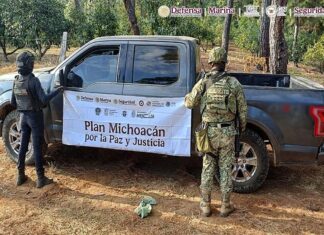 DETIENEN A CINCO PERSONAS Y ASEGURAN CERCA DE UN CENTENAR DE CARTUCHOS EN MICHOACÁN