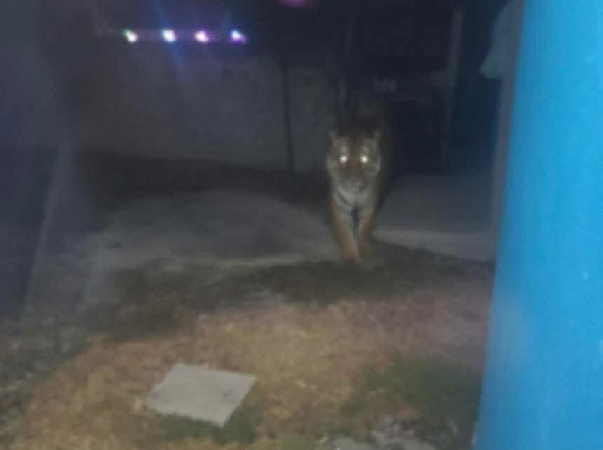 WhatsApp Image 2025-12-19 at 11.56.26 PM