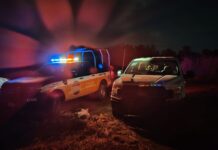 Localizan cadáver semienterrado en la colonia Salinas de Gortari de Zamora