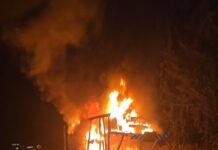 Se incendia tractocamión nodriza con vehículos nuevos en la autopista Siglo XXI