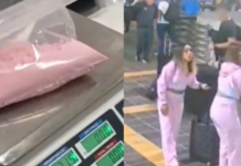 Caen influencers con droga rumbo a Bali; destapan red criminal internacional