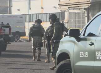 Identifican a los cuatro jóvenes descuartizados en Cuitzeo; tres eran adolescentes