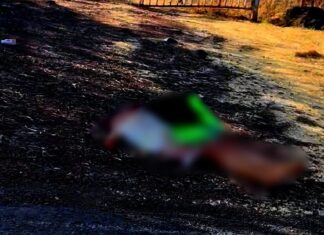 Decapitan a joven mujer en Buenavista; abandonan su cuerpo con narcomensaje