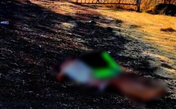 Decapitan a joven mujer en Buenavista; abandonan su cuerpo con narcomensaje