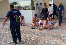 Más de 270 réplicas tras sismo de 6.5 en Guerrero; reportan derrumbes carreteros