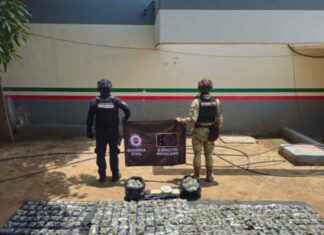 Guardia Civil decomisó en 2025 más de 8 toneladas de droga