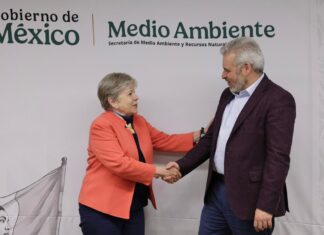 Bedolla y Semarnat impulsarán certificación obligatoria cero deforestación en el T-MEC