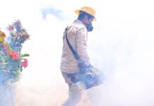 En 2025, Michoacán registró 81 % menos casos de dengue: SSM