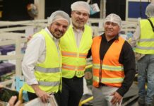 Guardián Forestal frena exportación de 2 mil huertas de aguacate por deforestación: Bedolla