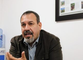 Con Guardián Forestal, suman mil predios denunciados por deforestación en Michoacán: Secma