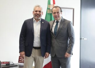 Guardian forestal y certificación ProForest Avocado facilitarán negociación en T-MEC