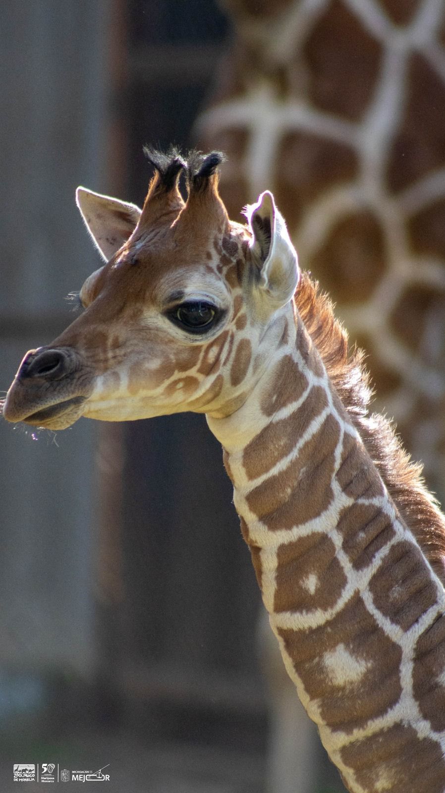 WhatsApp Image 2026-01-21 at 12.13.41 PM