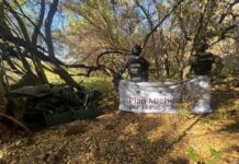 SSP desactiva 48 artefactos explosivos improvisados en Apatzingán