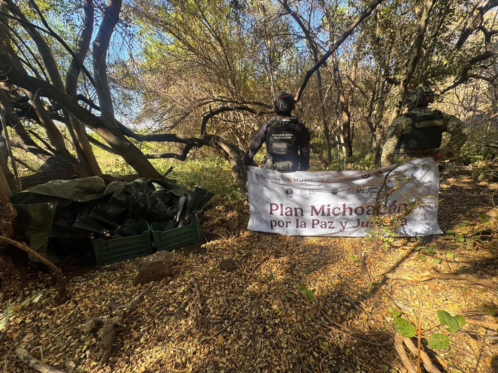 WhatsApp Image 2026-01-22 at 7.34.46 AM