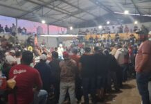 SSP y Defensa desactivan palenque clandestino en Zamora