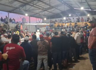 SSP y Defensa desactivan palenque clandestino en Zamora